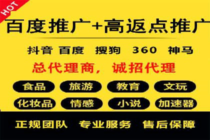 行业领先企业的SEM广告策略与效果分析